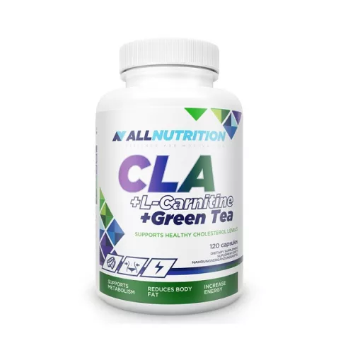 CLA + L-carnitine + Green Tea, 120 kapsułek. AllNutrition